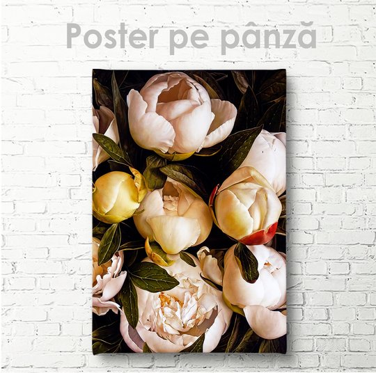 Poster, Bujori albi 1, 30 x 45 см, Panza pe cadru
