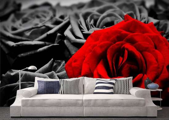 Fototapet - Un trandafir roșu pe un fundal alb-negru