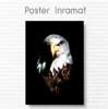 Poster, Eagle, 30 x 45 см, Canvas on frame