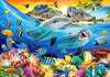 Wall Mural - Dolphins and other fish in the tropics