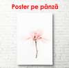 Постер - Розовый цветок, 60 x 90 см, Постер в раме, Минимализм