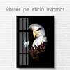 Poster, Eagle, 60 x 90 см, Framed poster on glass, Animals