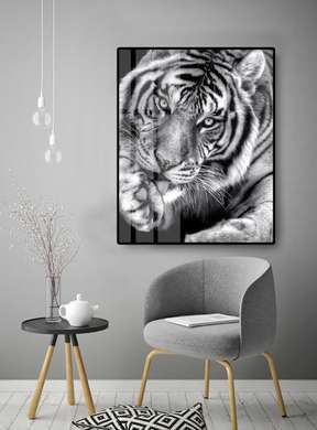 Poster, Tigru alb-negru, 30 x 45 см, Panza pe cadru