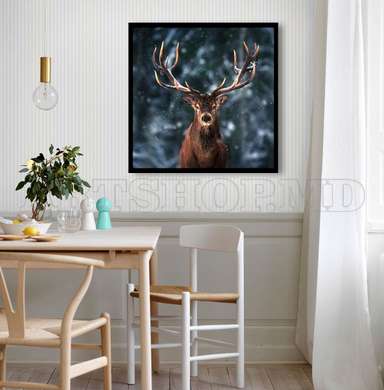 Poster, Deer, 40 x 40 см, Canvas on frame, Animals