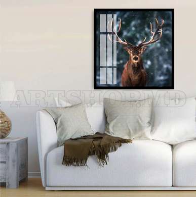 Poster, Deer, 40 x 40 см, Canvas on frame, Animals