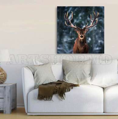 Poster, Deer, 40 x 40 см, Canvas on frame, Animals