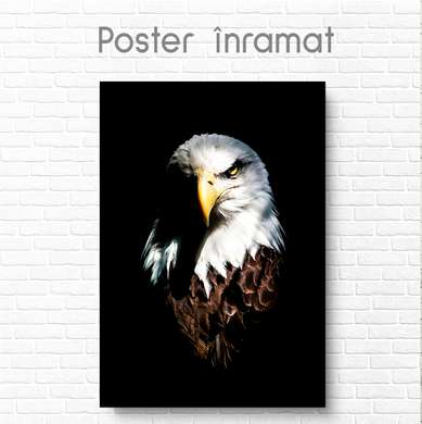 Постер, Орел, 60 x 90 см, Постер на Стекле в раме, Животные