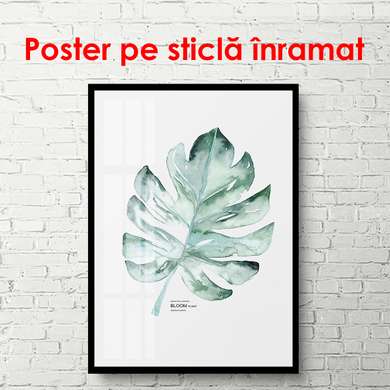 Poster - Frunză verde pe un fundal alb, 60 x 90 см, Poster înrămat, Botanică