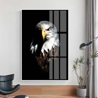 Poster, Eagle, 60 x 90 см, Framed poster on glass, Animals