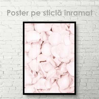 Poster - Petale de trandafir, 60 x 90 см, Poster inramat pe sticla