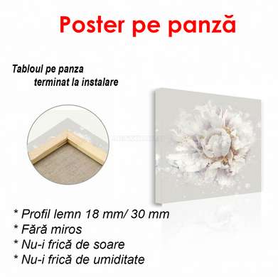 Poster - Peony with golden highlights, 100 x 100 см, Framed poster, Flowers