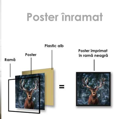 Poster, Cerb, 40 x 40 см, Panza pe cadru, Animale