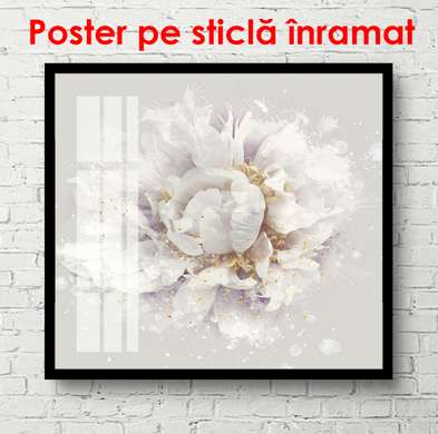 Poster - Peony with golden highlights, 100 x 100 см, Framed poster, Flowers