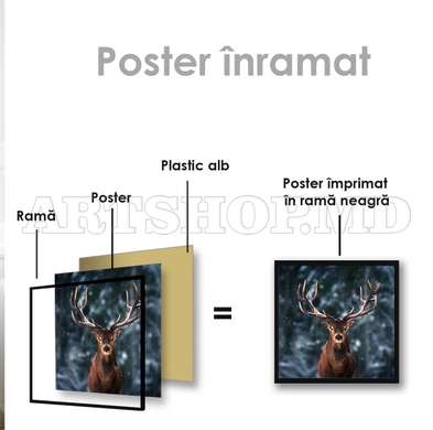 Poster, Deer, 40 x 40 см, Canvas on frame, Animals