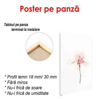 Poster - Floarea roz, 60 x 90 см, Poster înrămat