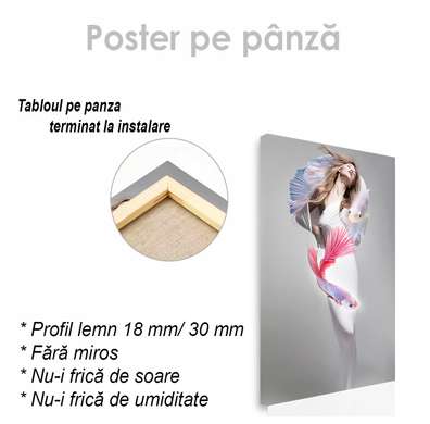 Poster - Fish girl, 60 x 90 см, Framed poster on glass, Fantasy