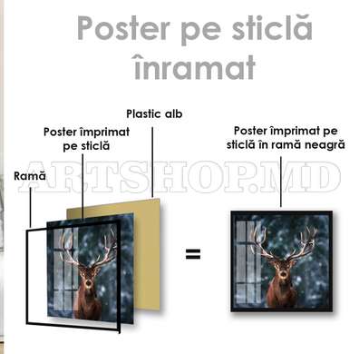 Poster, Deer, 40 x 40 см, Canvas on frame, Animals