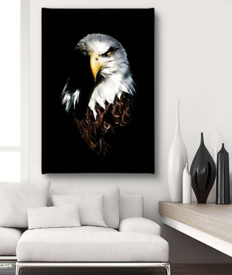 Poster, Eagle, 30 x 45 см, Canvas on frame, Animals