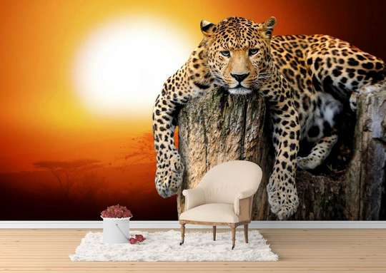 Фотообои - Леопард на фоне заката