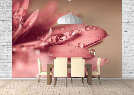 Фотообои - Утренняя роса на розовых лепестках
