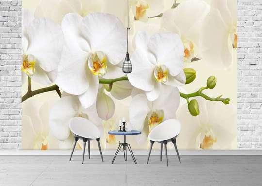 Wall Mural - The softness of nature