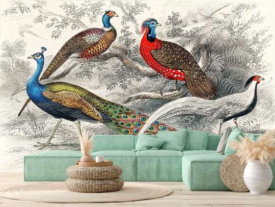 Wall Mural - Peacocks