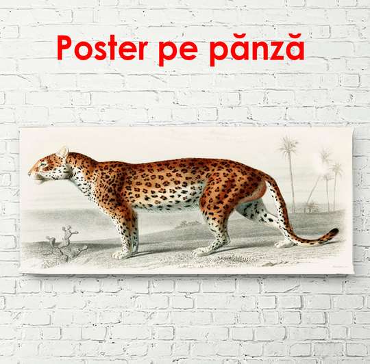 Постер, Красивый леопард, 90 x 45 см, Постер в раме, Животные