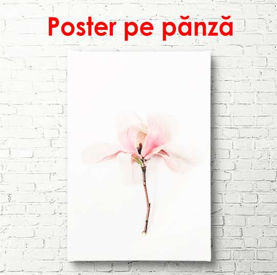 Poster - Pink flower, 60 x 90 см, Framed poster