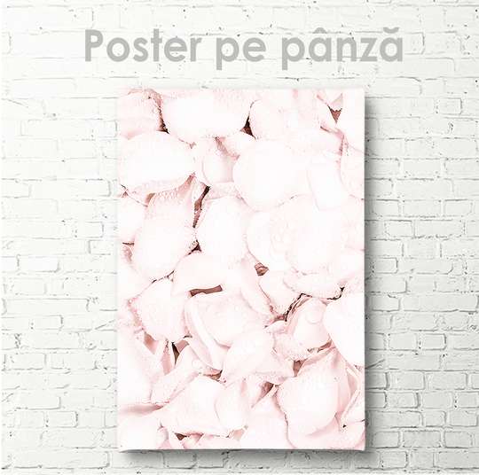 Poster - Petale de trandafir, 30 x 45 см, Panza pe cadru