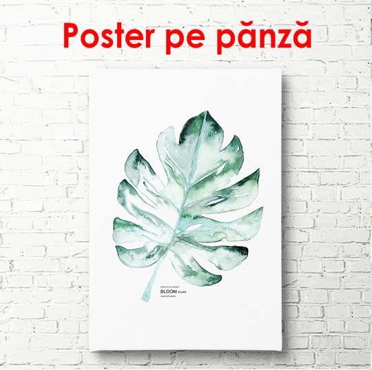 Poster - Frunză verde pe un fundal alb, 60 x 90 см, Poster înrămat