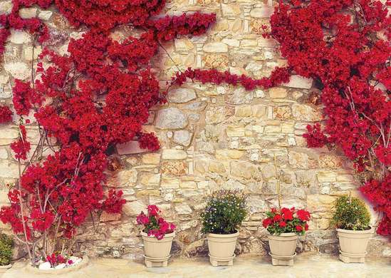 Fototapet - Copaci roșii lângă perete