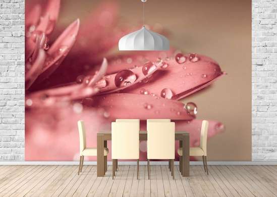 Фотообои - Утренняя роса на розовых лепестках