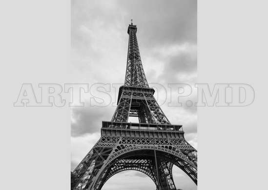 Wall Mural - Eiffel Tower.