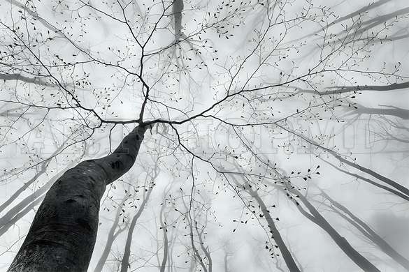 Wall mural - Trees in shades of gray