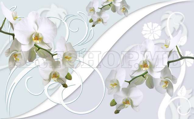 Fototapet 3D - Orhidee albe pe un fundal 3D