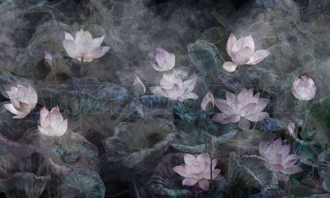 Modular picture, Lotus flowers on gray background, 206 x 115