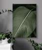 Poster - Green Exotic Leaf, 60 x 90 см, Framed poster on glass, Botanical