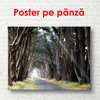 Poster - Pădurea de toamnă, 90 x 60 см, Poster înrămat, Natură