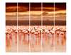 Screen with pink flamingos at sunset., 7