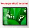 Постер - Белые весенние цветы, 90 x 60 см, Постер в раме, Цветы