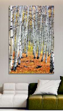 Poster - Birches, 30 x 45 см, Canvas on frame