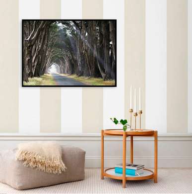 Poster - Autumn forest, 90 x 60 см, Framed poster