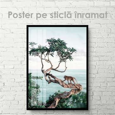 Poster - Monkey on a tree, 60 x 90 см, Framed poster on glass, Nature
