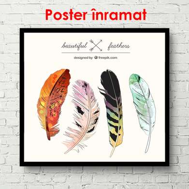 Poster - Penele păsărilor de foc, 100 x 100 см, Poster inramat pe sticla, Minimalism