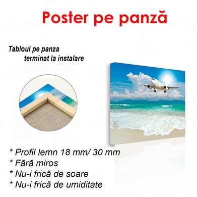 Poster - Airplane over the beach, 100 x 100 см, Framed poster, Transport