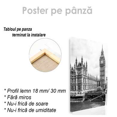 Poster - National symbols of Great Britain, 30 x 45 см, Canvas on frame