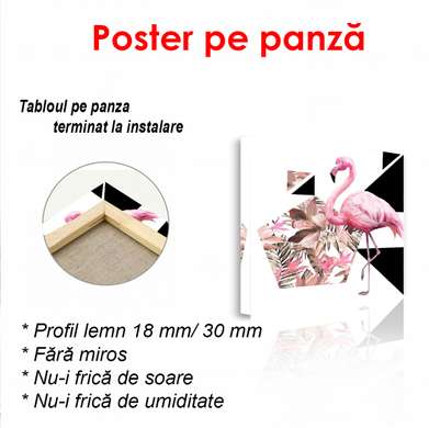 Poster - Flamingo roz, 100 x 100 см, Poster înrămat