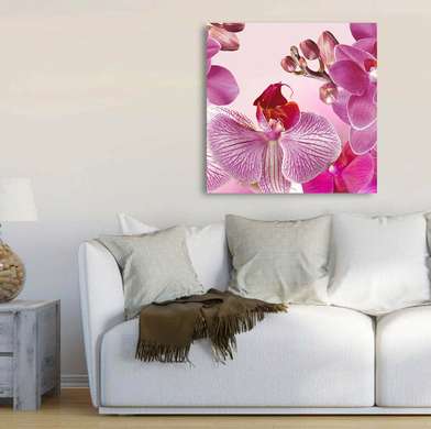 Poster - Orhidee roz pe un fundal roz, 100 x 100 см, Poster înrămat, Flori