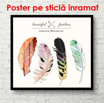 Постер - Перья жар птиц, 100 x 100 см, Постер в раме, Минимализм