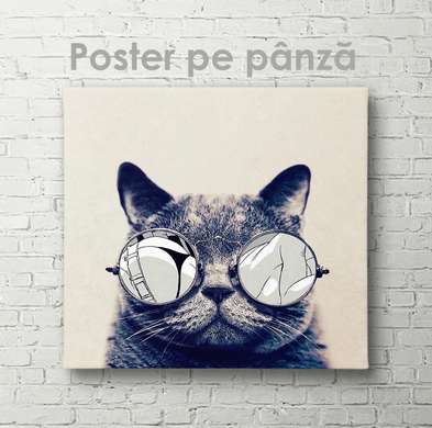 Poster, Pisică de modă, 100 x 100 см, Poster inramat pe sticla